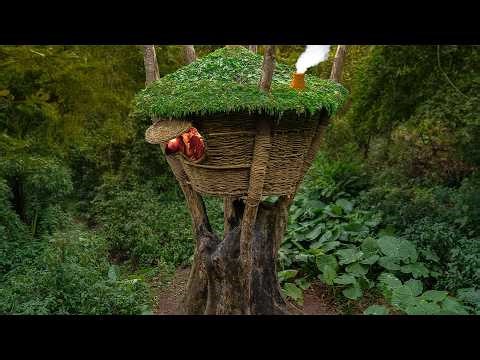 Building a Warm and Cozy Bushcraft Nest for Survival, a Vine House on an Old Tree, Catch and Cook