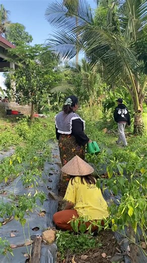 Exploring Lombok: Aesthetic Cinematic Vlog