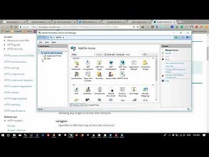 access controll allow origin on IIS