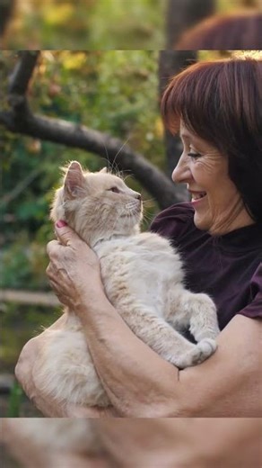 👉 “How Do Cats See Humans? 😺 The Truth Will Surprise You”