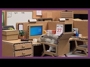 [ENG Sub] Hamster going to work