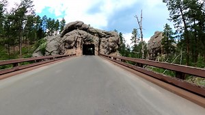 5K views · 199 reactions | Here's just a hint of the beauty you'll discover while cruising Iron Mountain Road in the Black Hills. Learn more about this scenic drive: https://bit.ly/3rz7Z9P | Visit Rapid City | Facebook