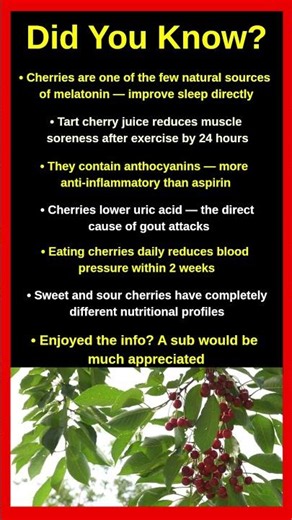 Shocking Facts About Cherries You Never Knew 🍒😱
