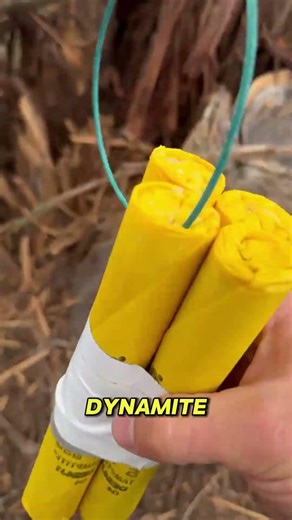 This Dynamite Experiment Gets More Extreme #shorts
