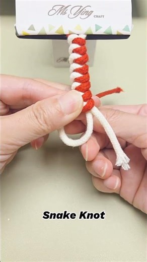 How to Tie the Basic Snake Knot | Easy Macrame Bracelet Tutorial #shortstutorial #diy #macrame#knot