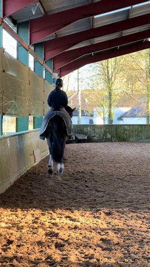 Poppy Campbell (@poppy.campbell.eventing)’s videos with original sound - Jessie.prodz