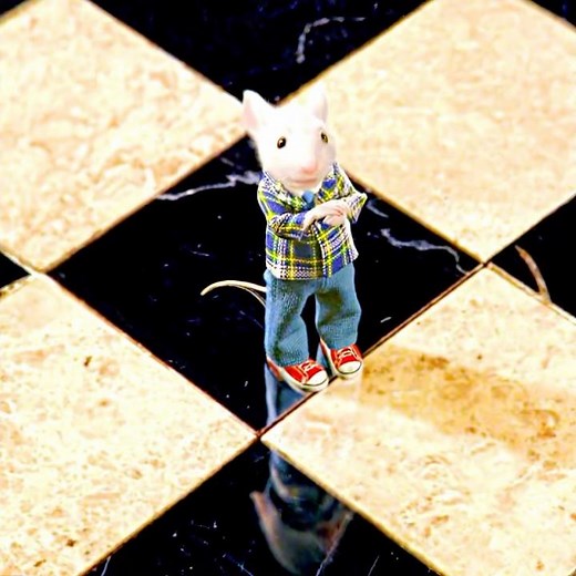 Stuart Little (1999) | A story of courage, love, and belonging.💞🐭 #edit