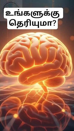 prefrontal cortex #brainboost #trending #facts #new #shorts #tamil