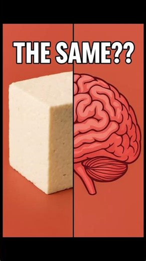 Your Brain Is Basically TOFU 😳 | Mind-Blowing Fact You Never Knew---🧠