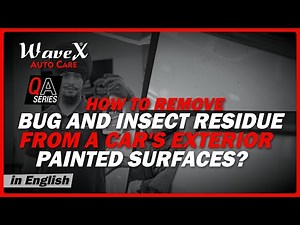 How to Remove Bug and Insect Residue from Car Paint Safely | QnA Series