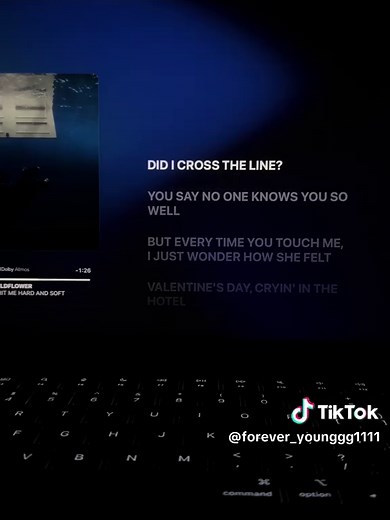 Billie Eilish - Wildflower Lyrics & Song