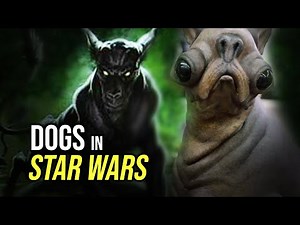 Top 5 DOGS in Star Wars