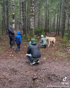 44 reactions · 10 comments | What a wonderful day spent with our...