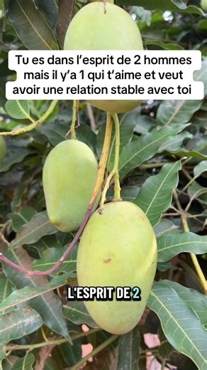 Tu es dans l’esprit de 2 hommes : lequel veut une relation stable ?