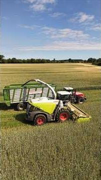 CLAAS JAGUAR 950 beim GPS häckseln / Abfahrer MASSEY FERGUSON 8470 / Griemsmann KG