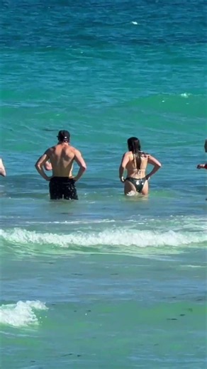 🇺🇸 Miami Beach a Perfect Day