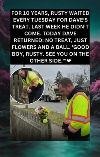 For 10 Years, Rusty Waited Every Tuesday… Until Dave Came Back With Flowers 💔🐶