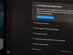 visual studio code为什么不能汉化