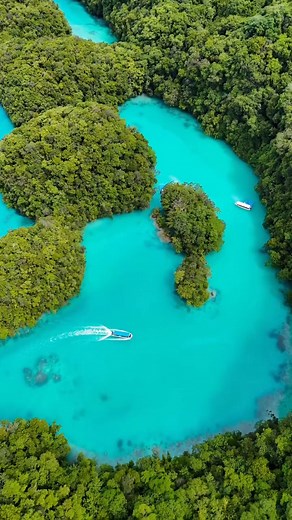 7M views · 128K reactions | The only country in the world that makes...