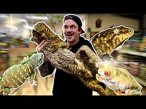 J ÉTAIS CENSÉ RIEN RAMENER À LA MAISON 🤥 ! - TOOPET