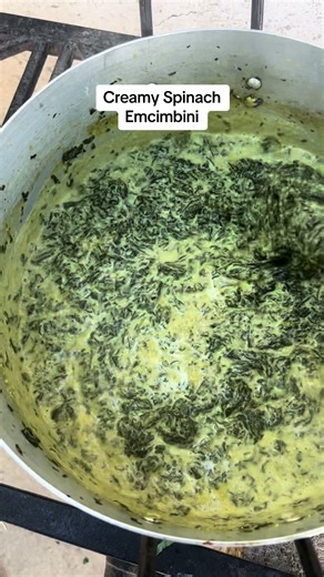 Creamy Spinach Recipes for Emcimbini Events