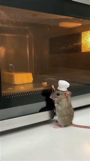 Chef Ratatouille vs. The Microwave (Level 99 Boss) 🧀🔥