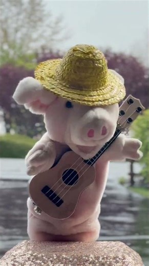 Pinkie The Pig Puppet Performance “Blue Eyes Crying in the Rain” 3