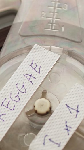  ORGANIC REGGAE VOL. 2 – Now Streaming Worldwide! ❤️ Straight from...