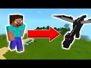 MORPH INTO A DRAGON! (Dragon Morph Addon) | Minecraft