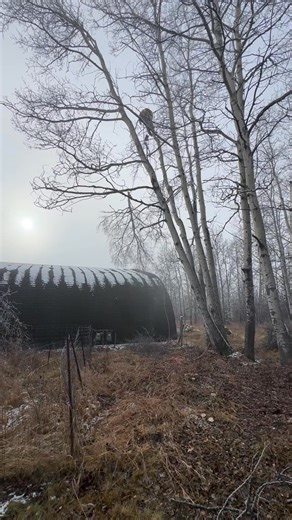 1.7K views · 20 reactions | A little bit of rigging and climbing for...