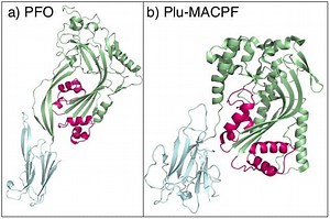 MACPF - Alchetron, The Free Social Encyclopedia