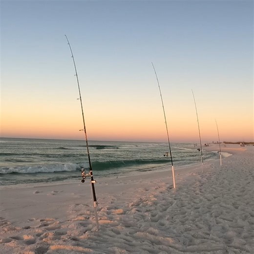 Beach Fishing Chaos! | Justin Reed Fishing
