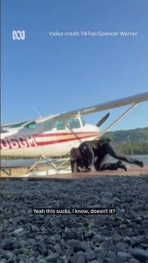 Baby moose rescued from Alaskan lake | ABC News