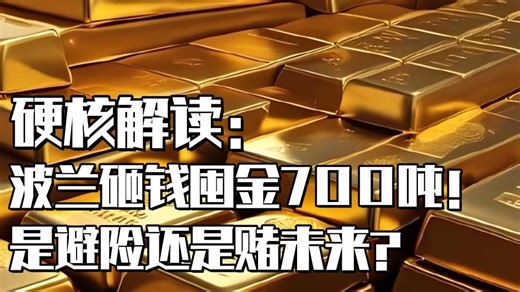 黄金无利息却狂买 150 吨！波兰央行的 “长期金融安全棋” 怎么下？