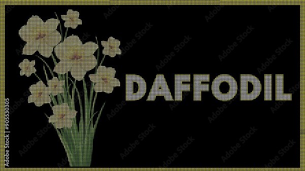 Daffodils Digital Animation - High-Definition Animated Video Featuring a Dynamic 'Daffodils' Design with Graceful Motion Effects - Ideal for Floral Themes, Garden Displays, and Decorative Signage Stock Video