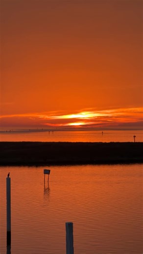 Steinhatchee Marina at Deadman's Bay on Reels
