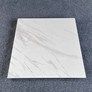 [Hot Item] 60X60 60 60 White Porcelanato Matte Marble Porcelain Glazed Floor Tile Ceramic Tile