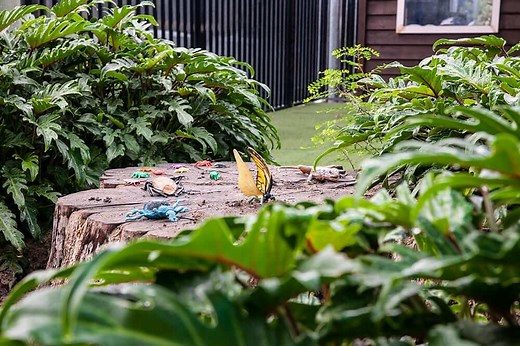 Childcare Toronto: Imagine Early Learning & Childcare