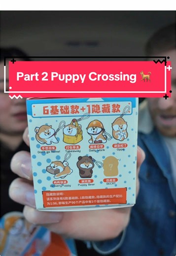 Adorable Shiba Inu Puppy Crossing Keychains Unboxing