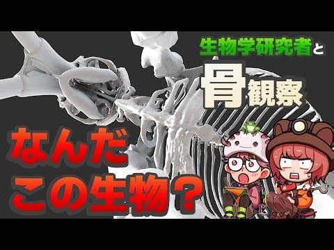 脊椎動物組と動物の骨を観察しよう！