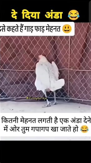 दे दिया अंडा 🐓😂🤣 #funny #thetharpuns #shilpisaroja #comedy