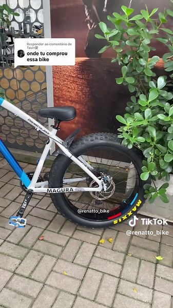 BMW e Bicicletas: Estilo e Performance em Ciclismo