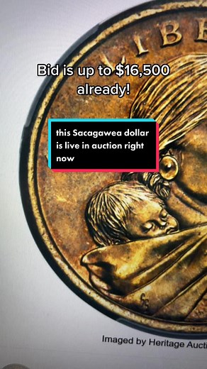 Rare Sacagawea Dollar Coin in Live Auction