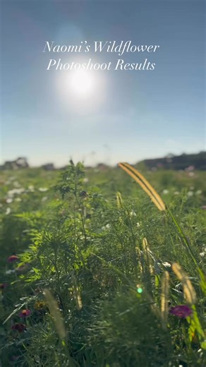 11 reactions |  Naomi’s senior portraits at her great-grandparents’ old home were pure magic— especially with our giant flying dress and the beautiful wildflower fields!  #whimsical #classof2026 #seniorportraits | Storybook Studios | Facebook