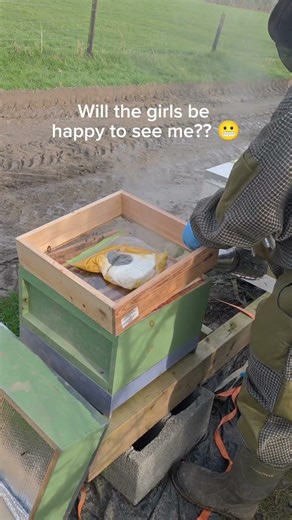 First hive check after winter… low numbers but they made it 🐝