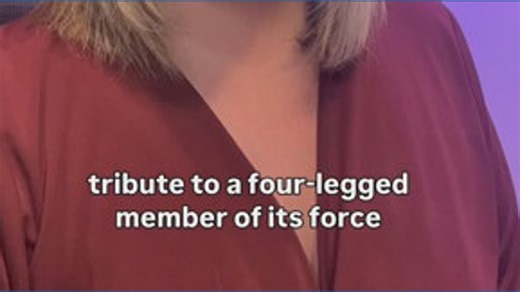 Des Moines police pay tribute to K-9 Blaise - DMPD 12-year veteran K-9 Blaise has passed away after an unexpected illness. Blaise served with Senior Ofc. Kelly Chiodo in the Vice & Narcotics Control Section. | We Are Iowa Local 5 News