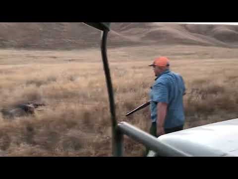 Wild Hog Charged Me Hunting - Follow up shots with Marlin 1894 Cowboy in 44 Mag - Graphic