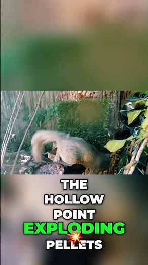 Tannerite Pellets are incredibly powerful