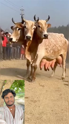 Don't ignore this brother 🙏 #bhakti #viralvideo #harharmahadev #shorts