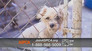ASPCA TV Spot, 'Break the Chain'